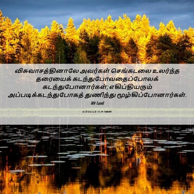 Picture 06 - எபிரெயர் 11:29 TAMIRV - விசுவாசத்தினாலே - Bible Verse Picture