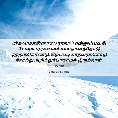 Picture 06 - எபிரெயர் 11:31 TAMIRV - விசுவாசத்தினாலே - Bible Verse Picture