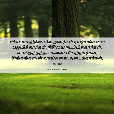 Picture 06 - எபிரெயர் 11:33 TAMIRV - விசுவாசத்தினாலே - Bible Verse Picture