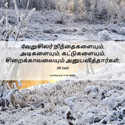Picture 06 - எபிரெயர் 11:36 TAMIRV - வேறுசிலர் - Bible Verse Picture