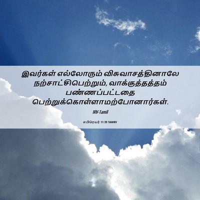 Picture 06 - எபிரெயர் 11:39 TAMIRV - இவர்கள் எல்லோரும் - Bible Verse Picture