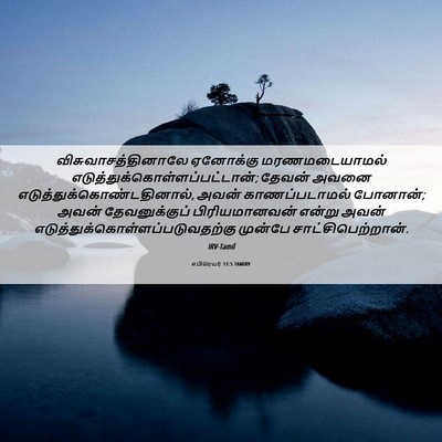 Picture 06 - எபிரெயர் 11:5 TAMIRV - விசுவாசத்தினாலே - Bible Verse Picture