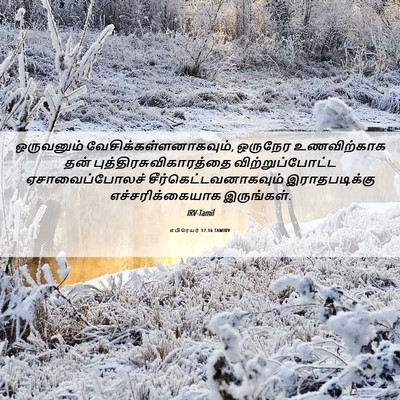 Picture 06 - எபிரெயர் 12:16 TAMIRV - ஒருவனும் - Bible Verse Picture