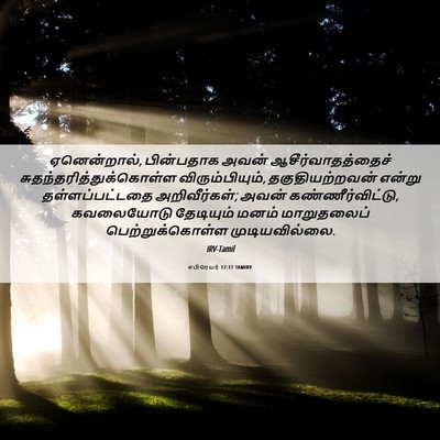 Picture 06 - எபிரெயர் 12:17 TAMIRV - ஏனென்றால், - Bible Verse Picture