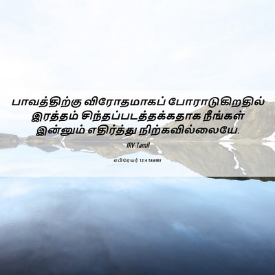 Picture 06 - எபிரெயர் 12:4 TAMIRV - பாவத்திற்கு - Bible Verse Picture
