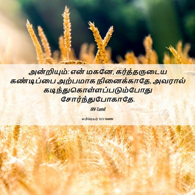 Picture 06 - எபிரெயர் 12:5 TAMIRV - அன்றியும்: என் - Bible Verse Picture