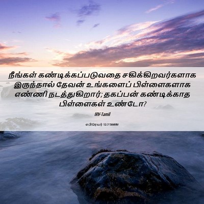 Picture 06 - எபிரெயர் 12:7 TAMIRV - நீங்கள் - Bible Verse Picture