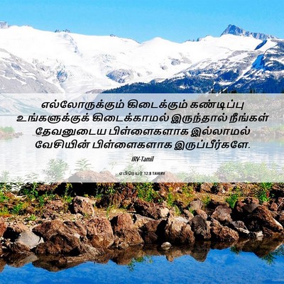 Picture 06 - எபிரெயர் 12:8 TAMIRV - எல்லோருக்கும் - Bible Verse Picture
