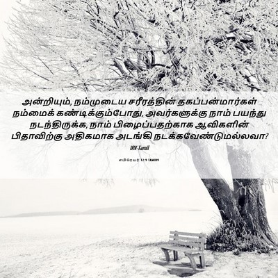 Picture 06 - எபிரெயர் 12:9 TAMIRV - அன்றியும், - Bible Verse Picture