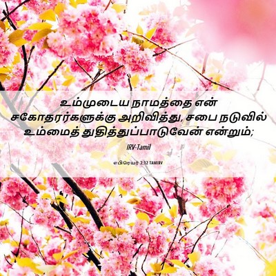 Picture 06 - எபிரெயர் 2:12 TAMIRV - உம்முடைய நாமத்தை - Bible Verse Picture