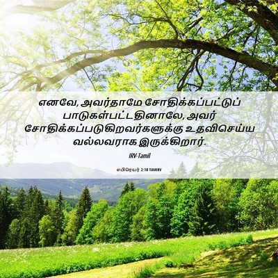 Picture 06 - எபிரெயர் 2:18 TAMIRV - எனவே, அவர்தாமே - Bible Verse Picture