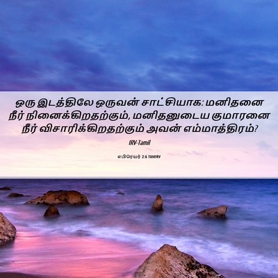 Picture 06 - எபிரெயர் 2:6 TAMIRV - ஒரு இடத்திலே - Bible Verse Picture