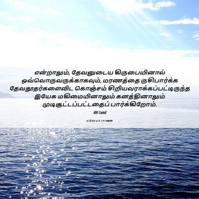 Picture 06 - எபிரெயர் 2:9 TAMIRV - என்றாலும், - Bible Verse Picture
