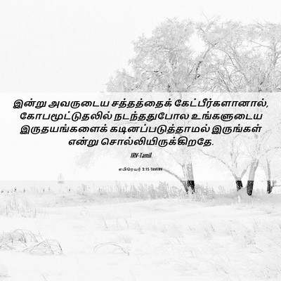 Picture 06 - எபிரெயர் 3:15 TAMIRV - இன்று அவருடைய - Bible Verse Picture
