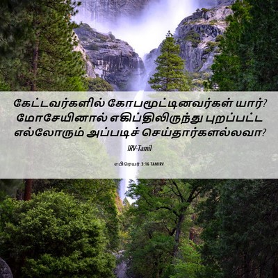 Picture 06 - எபிரெயர் 3:16 TAMIRV - கேட்டவர்களில் - Bible Verse Picture