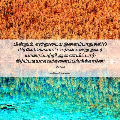 Picture 06 - எபிரெயர் 3:18 TAMIRV - பின்னும், - Bible Verse Picture