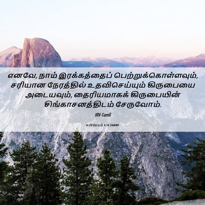 Picture 06 - எபிரெயர் 4:16 TAMIRV - எனவே, நாம் - Bible Verse Picture