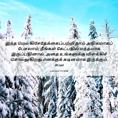 Picture 06 - எபிரெயர் 5:11 TAMIRV - இந்த - Bible Verse Picture