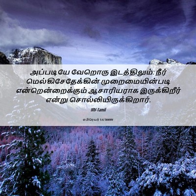 Picture 06 - எபிரெயர் 5:6 TAMIRV - அப்படியே வேறொரு - Bible Verse Picture