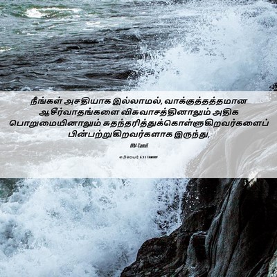 Picture 06 - எபிரெயர் 6:11 TAMIRV - நீங்கள் அசதியாக - Bible Verse Picture