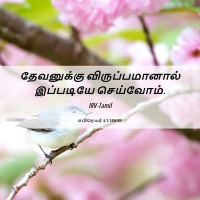 Picture 06 - எபிரெயர் 6:3 TAMIRV - தேவனுக்கு - Bible Verse Picture
