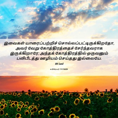 Picture 06 - எபிரெயர் 7:13 TAMIRV - இவைகள் - Bible Verse Picture