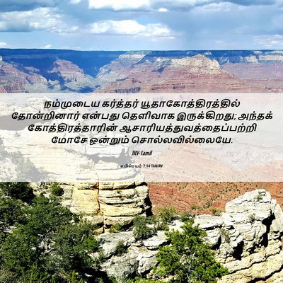 Picture 06 - எபிரெயர் 7:14 TAMIRV - நம்முடைய கர்த்தர் - Bible Verse Picture