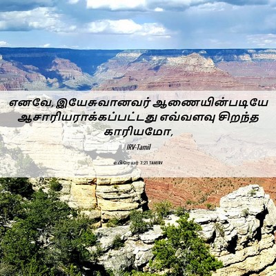 Picture 06 - எபிரெயர் 7:21 TAMIRV - எனவே, இயேசுவானவர் - Bible Verse Picture