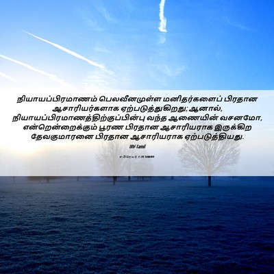 Picture 06 - எபிரெயர் 7:28 TAMIRV - நியாயப்பிரமாணம் - Bible Verse Picture