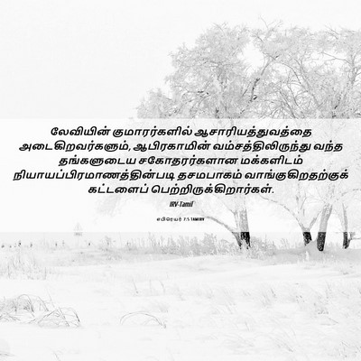 Picture 06 - எபிரெயர் 7:5 TAMIRV - லேவியின் - Bible Verse Picture
