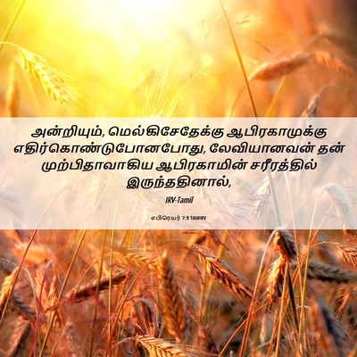Picture 06 - எபிரெயர் 7:9 TAMIRV - அன்றியும், - Bible Verse Picture