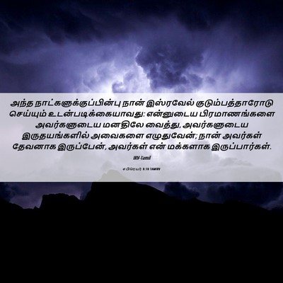 Picture 06 - எபிரெயர் 8:10 TAMIRV - அந்த - Bible Verse Picture