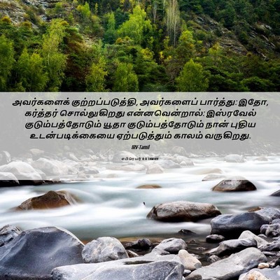 Picture 06 - எபிரெயர் 8:8 TAMIRV - அவர்களைக் - Bible Verse Picture