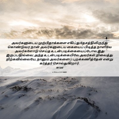 Picture 06 - எபிரெயர் 8:9 TAMIRV - அவர்களுடைய - Bible Verse Picture