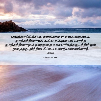 Picture 06 - எபிரெயர் 9:12 TAMIRV - வெள்ளாட்டுக்கடா, - Bible Verse Picture
