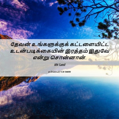 Picture 06 - எபிரெயர் 9:20 TAMIRV - தேவன் - Bible Verse Picture