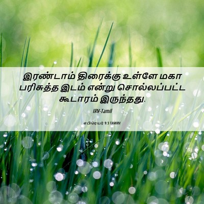 Picture 06 - எபிரெயர் 9:3 TAMIRV - இரண்டாம் திரைக்கு - Bible Verse Picture