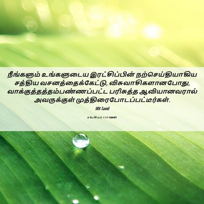 Picture 06 - எபேசியர் 1:13 TAMIRV - நீங்களும் - Bible Verse Picture