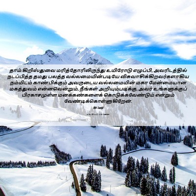 Picture 06 - எபேசியர் 1:19 TAMIRV - தாம் கிறிஸ்துவை - Bible Verse Picture