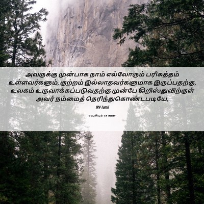 Picture 06 - எபேசியர் 1:4 TAMIRV - அவருக்கு முன்பாக - Bible Verse Picture
