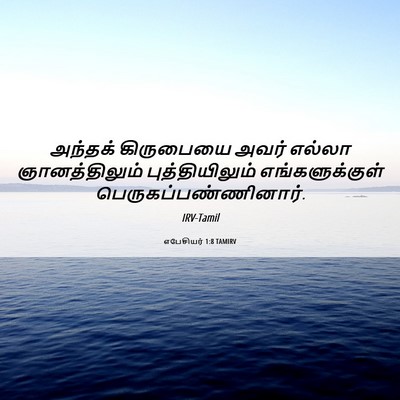 Picture 06 - எபேசியர் 1:8 TAMIRV - அந்தக் கிருபையை - Bible Verse Picture