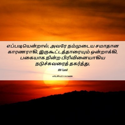 Picture 06 - எபேசியர் 2:14 TAMIRV - எப்படியென்றால், - Bible Verse Picture