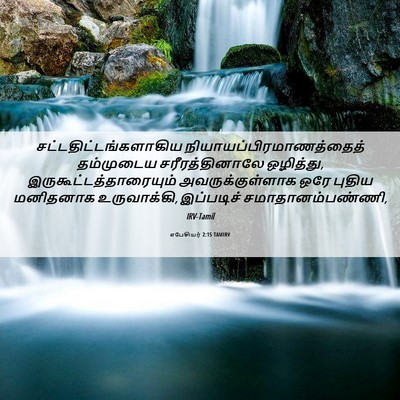 Picture 06 - எபேசியர் 2:15 TAMIRV -  - Bible Verse Picture