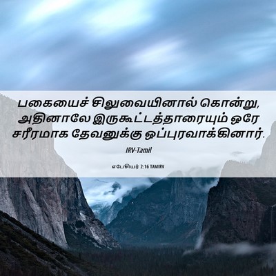 Picture 06 - எபேசியர் 2:16 TAMIRV - பகையைச் - Bible Verse Picture