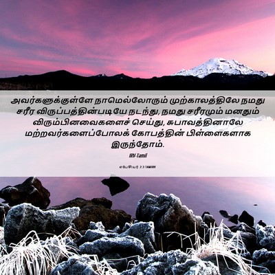 Picture 06 - எபேசியர் 2:3 TAMIRV - அவர்களுக்குள்ளே - Bible Verse Picture