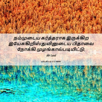 Picture 06 - எபேசியர் 3:15 TAMIRV - நம்முடைய - Bible Verse Picture