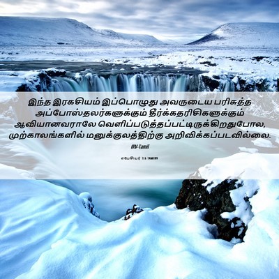 Picture 06 - எபேசியர் 3:6 TAMIRV - இந்த இரகசியம் - Bible Verse Picture