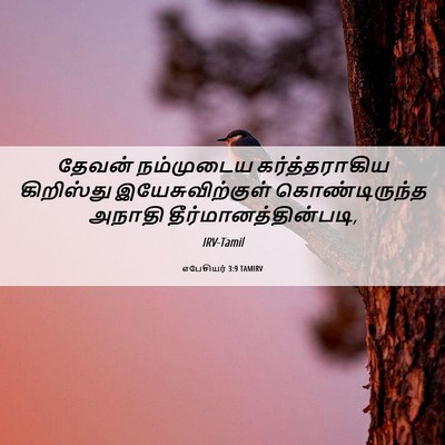 Picture 06 - எபேசியர் 3:9 TAMIRV - தேவன் நம்முடைய - Bible Verse Picture