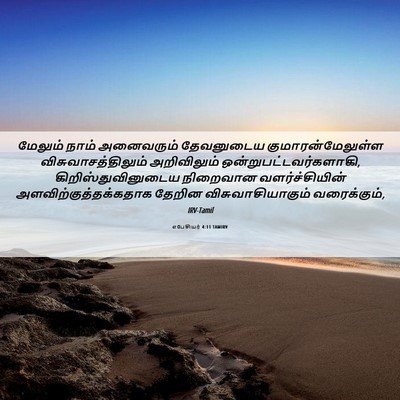 Picture 06 - எபேசியர் 4:11 TAMIRV - மேலும் நாம் - Bible Verse Picture