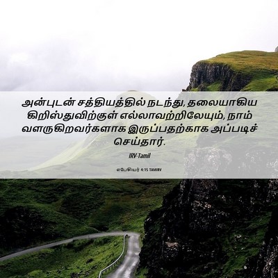 Picture 06 - எபேசியர் 4:15 TAMIRV - அன்புடன் - Bible Verse Picture